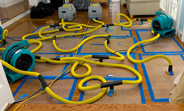 Professional Sewage Cleanup technician working in Vernon Center, MN